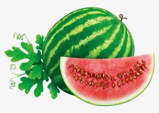 手绘水果西瓜免抠