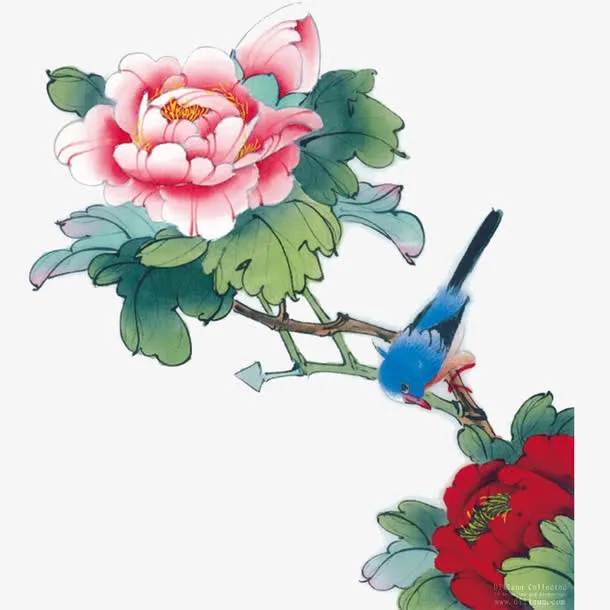 花鸟图免抠