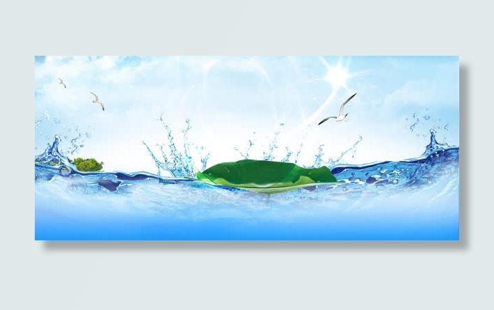 海鸥水荷叶背景banner