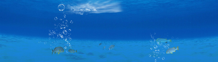 蓝色海洋海底清新背景banner高清