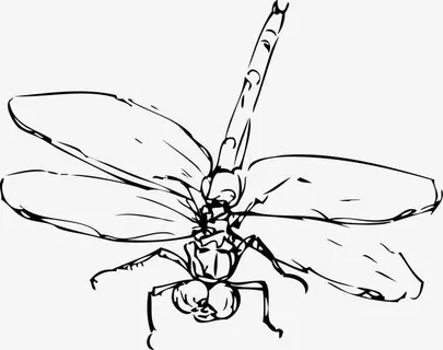 张开翅膀的蜻蜓免抠