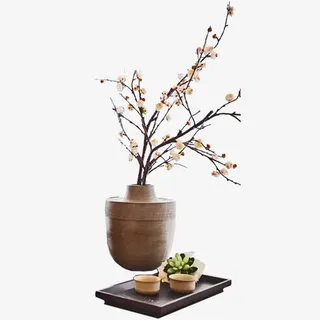 插花植物免抠 插花植物免抠