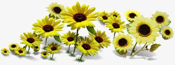 黄色春季向日葵花朵免抠