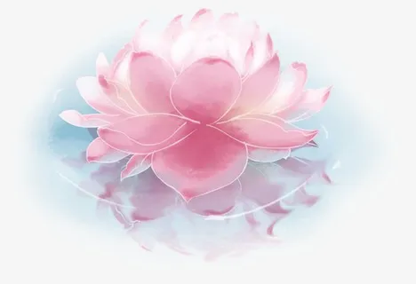 夏天水彩荷花免抠手绘/卡通手绘元素