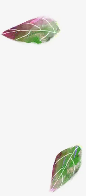 彩色渐变创意树叶免抠