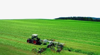 绿油油的植物免抠其他元素