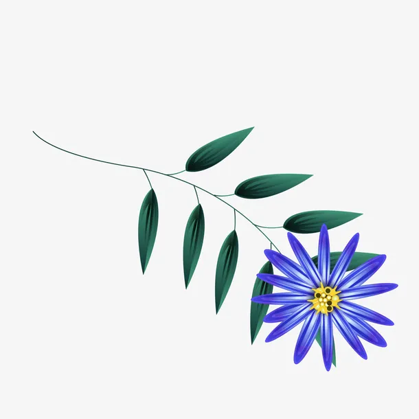 植物花卉矢量图装饰免抠