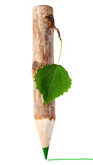 创意树纹H5背景高清