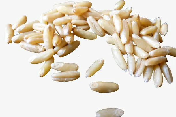燕麦米粒免抠