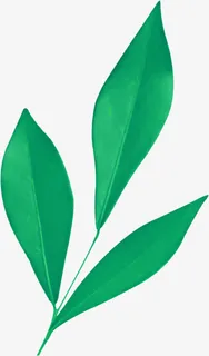 春天绿色手绘树叶装饰免抠