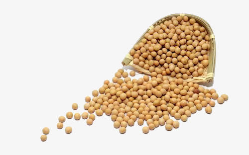 大豆免抠