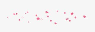 粉红花瓣花朵飘落装饰免抠