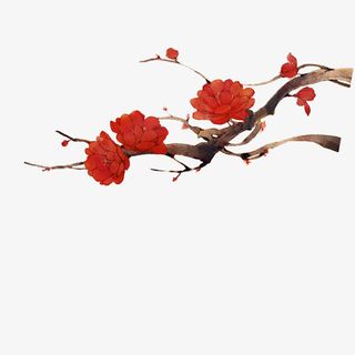 树枝梅花枝带花免抠