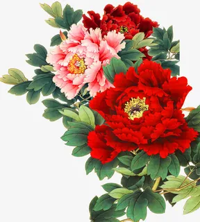 彩绘花开富贵图免抠 彩绘花开富贵图免抠