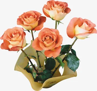 情人节浪漫礼物玫瑰免抠