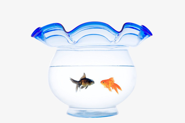 蓝色透明渐变鱼缸免抠