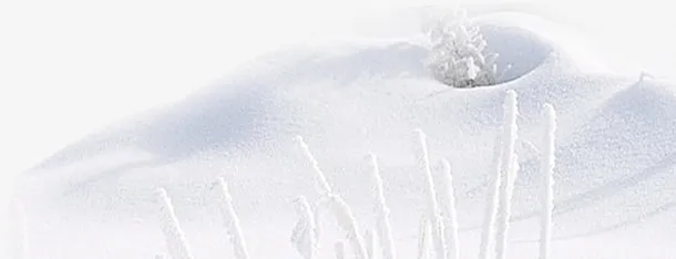雪地浪漫冬季图片免抠