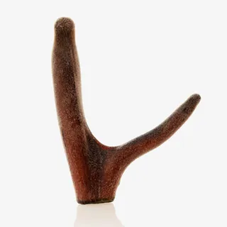 整枝鹿茸干鹿茸免抠