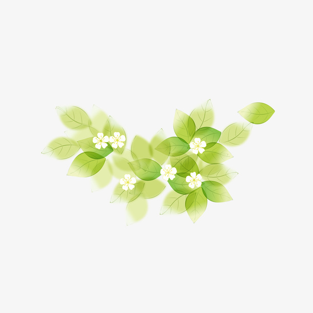 绿叶上的花朵免抠