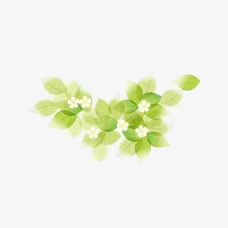 绿叶上的花朵免抠