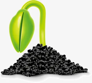 卡通小麦苗丛免抠