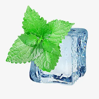 冰块上的绿叶免抠