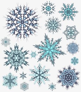 各式花纹图案免抠