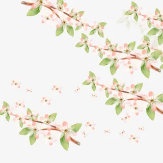 矢量春花灿烂免抠