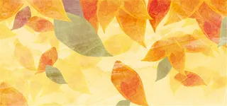 金黄枫叶背景高清