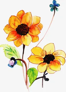 黄色春天水彩花朵免抠