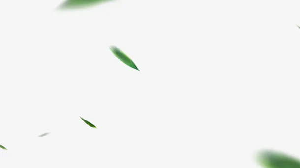 叶绿叶漂浮的叶子装饰免抠