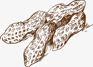 餐饮元素手绘线稿免抠