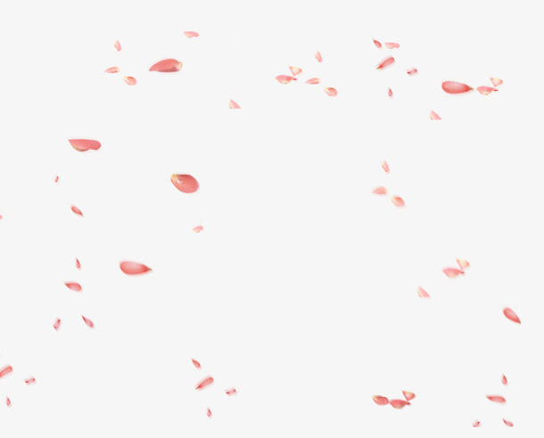 飘浮花瓣免抠
