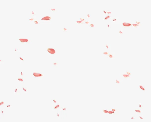 飘浮花瓣免抠