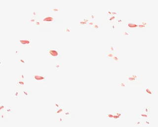 飘浮花瓣免抠