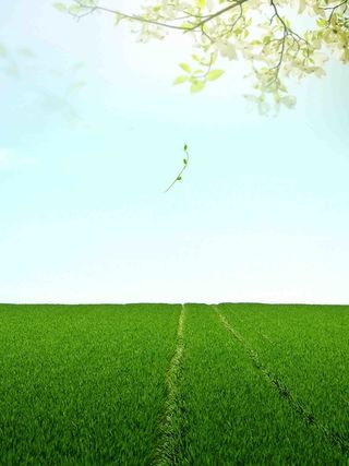 春季春天万物复苏麦田桃花户外海报模板高清