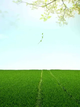 春季春天万物复苏麦田桃花户外海报模板高清