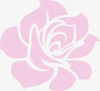 玫瑰矢量图免抠