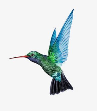 飞翔的小鸟免抠