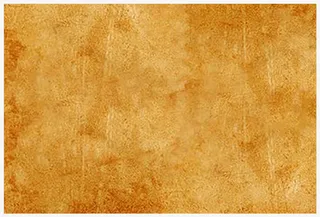 树皮纹羊皮纸免抠