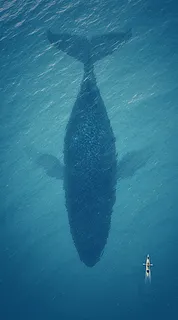 蓝色海洋鲸鱼简约清新背景高清