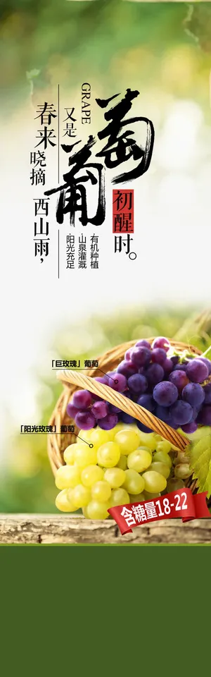 葡萄海报设计免抠