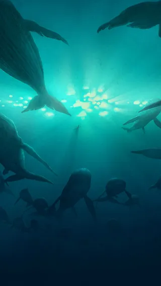 蓝色大海鲸鱼手机端H5背景高清