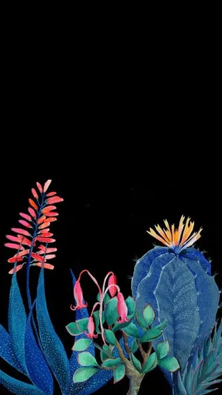 蓝色仙人掌上的花卉免抠