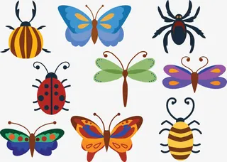 矢量图昆虫集合免抠