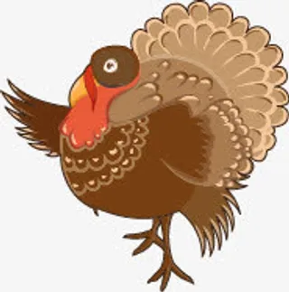 感恩节火鸡免抠