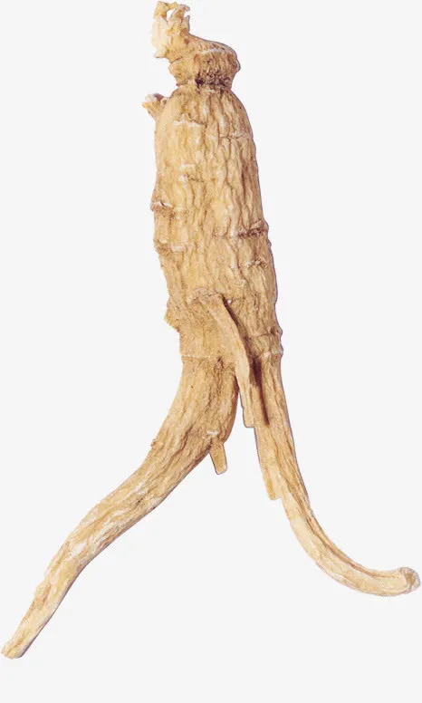 走路的人参免抠