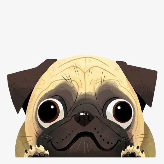 卡通沙皮犬免抠
