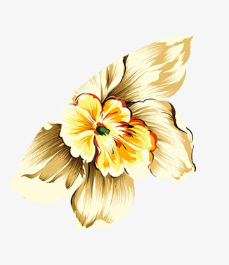 漂浮花瓣免抠