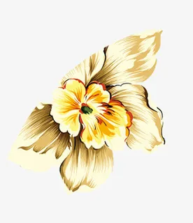 漂浮花瓣免抠 漂浮花瓣免抠